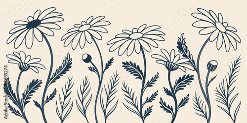 Design a botanical chamomile flower pattern with hand-drawn linework.