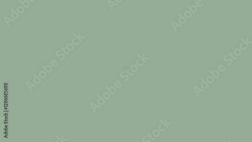Wallpaper Mural Empty Sage Green Background with Subtle Rainbow Flare Torontodigital.ca