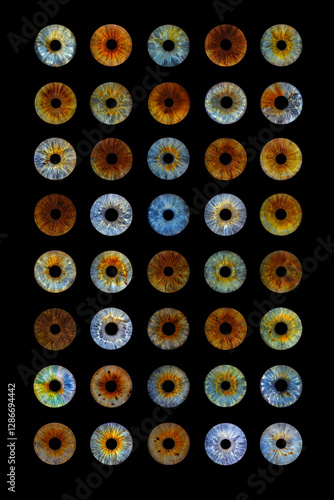 Close up of eye iris on black background, macro, photography.
Colorful human eye irises.