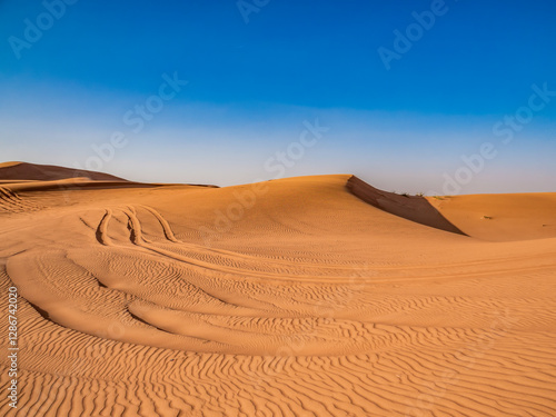 Canvas Print Sand dunes in the United Arab Emirates.