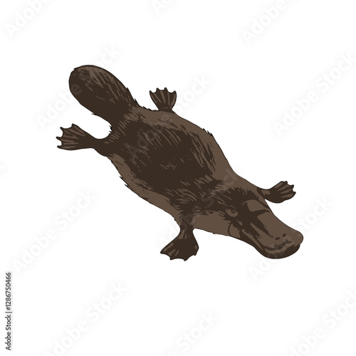 Platypus Vector Logo Design