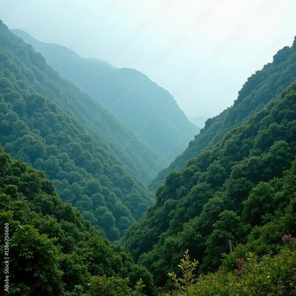 Obraz premium Misty mountainside blanketed with lush foliage, misty, earthy, landscape