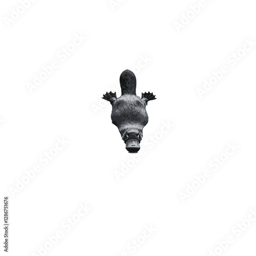 Platypus Vector Logo Design