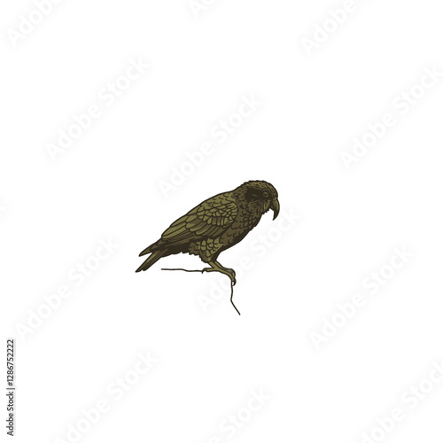 Kea Bird Vector Logo Design