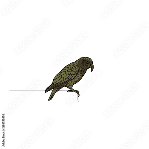 Kea Bird Vector Logo Design