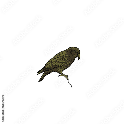 Kea Bird Vector Logo Design