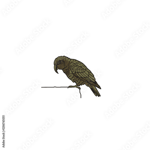 Kea Bird Vector Logo Design