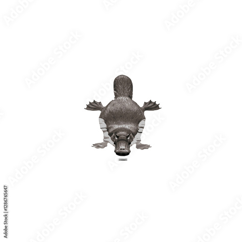 Platypus Vector Logo Design