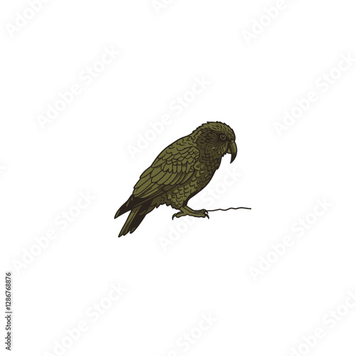 Kea Bird Vector Logo Design