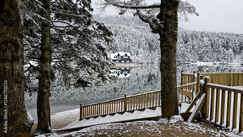 Bolu Golcuk National Park, lake wooden house on a snowy winter day in the forest in Turkey photo