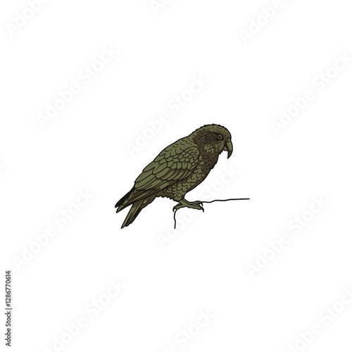 Kea Bird Vector Logo Design