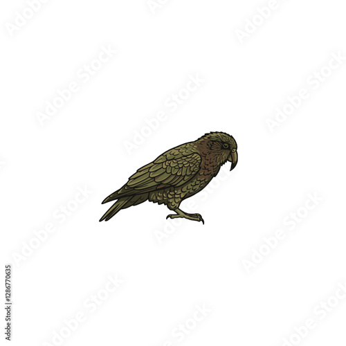 Kea Bird Vector Logo Design