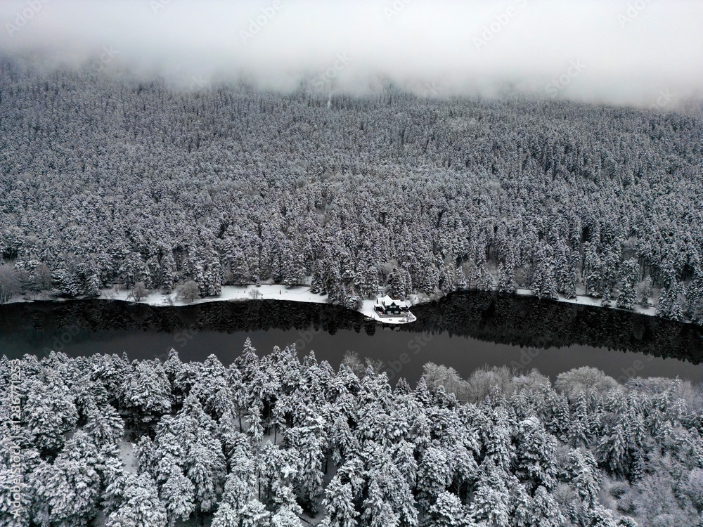 Bolu Golcuk National Park, lake wooden house on a snowy winter day in the forest in Turkey