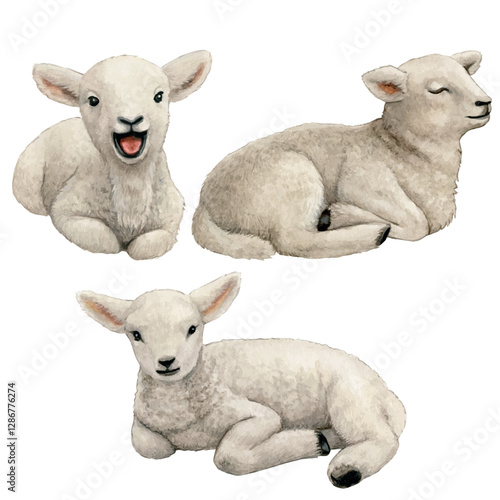 Watercolor realistic cute farm lamb