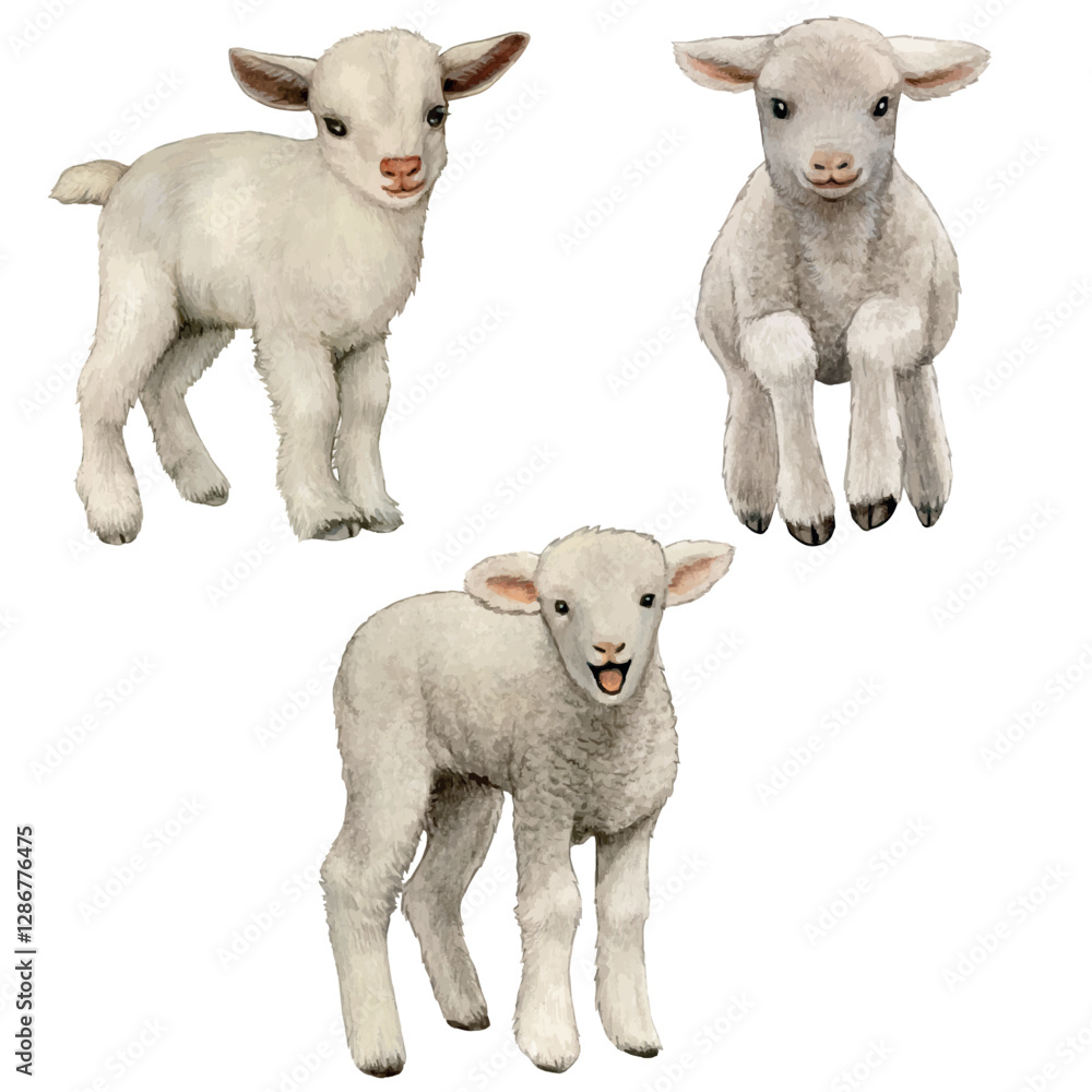 Fototapeta premium Watercolor realistic cute farm lamb