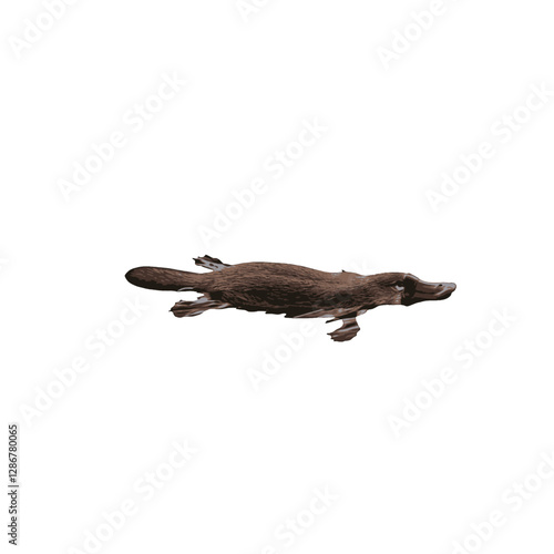 Platypus Vector Logo Design