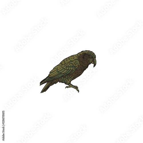 Kea Bird Vector Logo Design