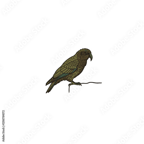 Kea Bird Vector Logo Design