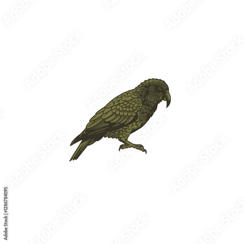 Kea Bird Vector Logo Design