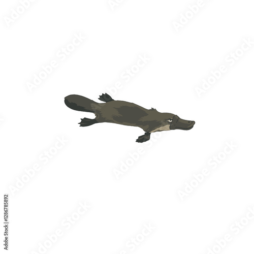 Platypus Vector Logo Design