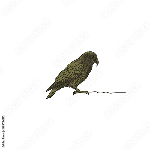 Kea Bird Vector Logo Design