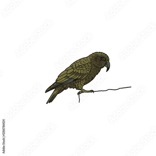 Kea Bird Vector Logo Design