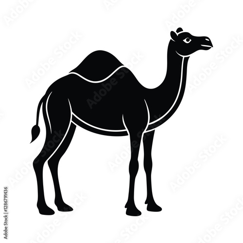 camel in the desert