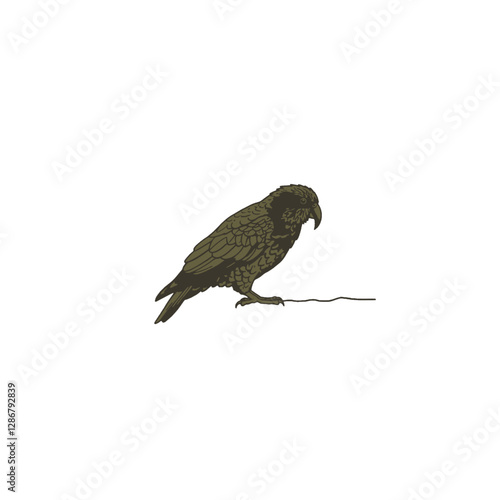 Kea Bird Vector Logo Design