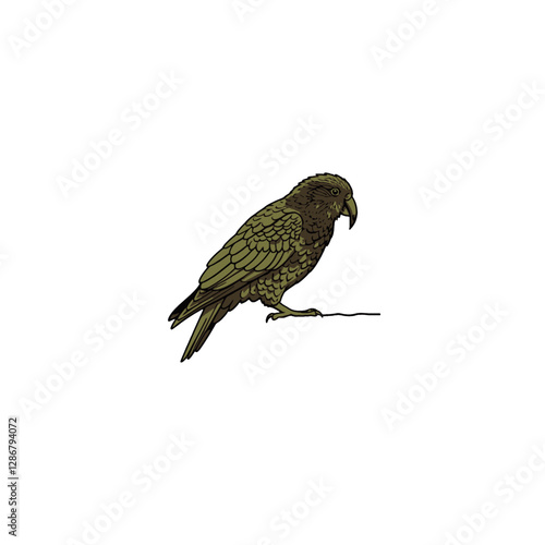 Kea Bird Vector Logo Design