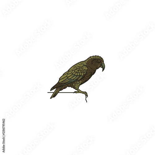 Kea Bird Vector Logo Design
