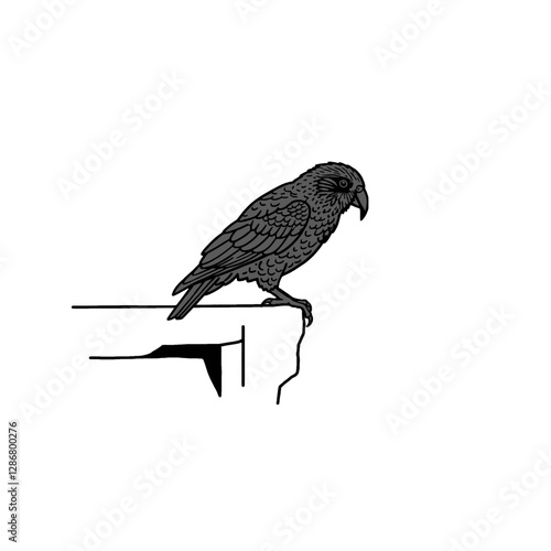 Kea Bird Vector Logo Design