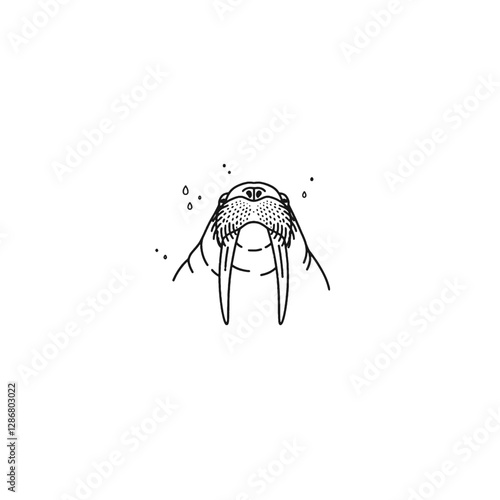 Walrus Vector Logo Design