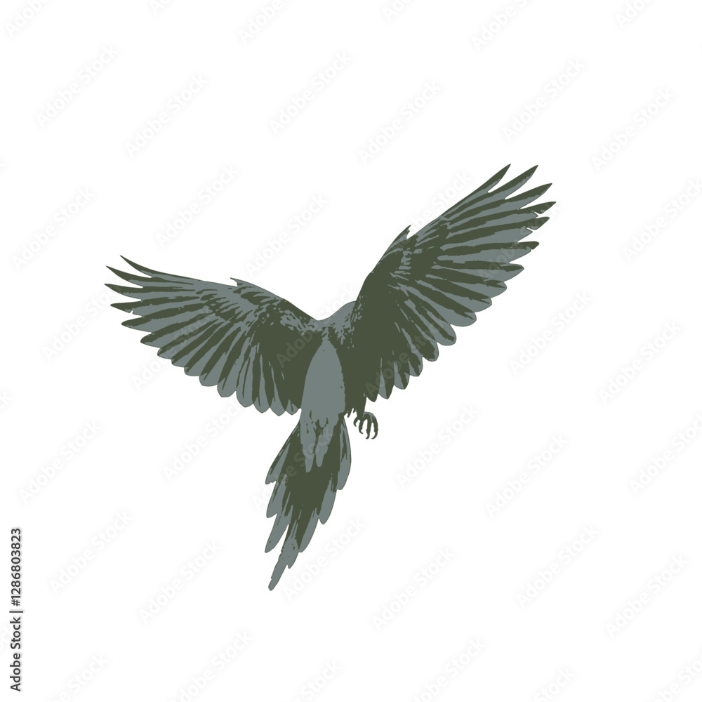 Obraz premium Parrot Vector Logo Design