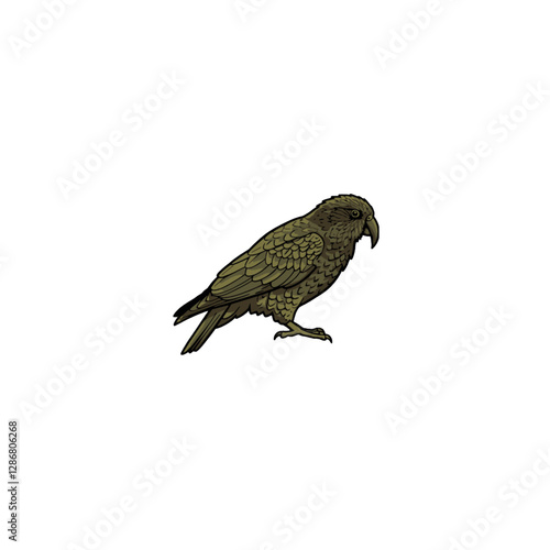 Kea Bird Vector Logo Design