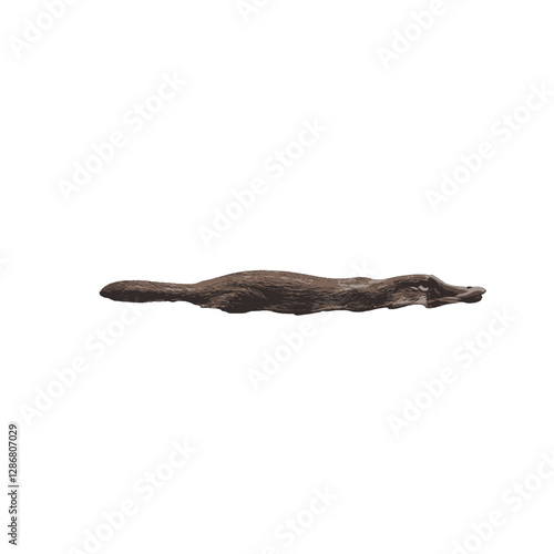 Platypus Vector Logo Design
