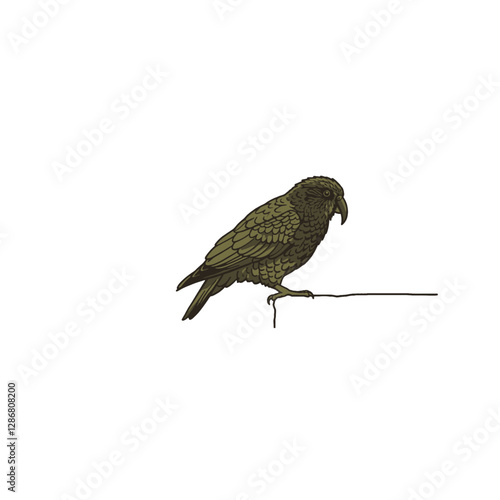 Kea Bird Vector Logo Design