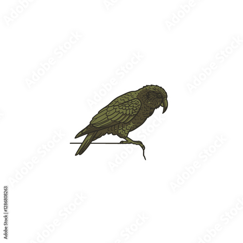 Kea Bird Vector Logo Design