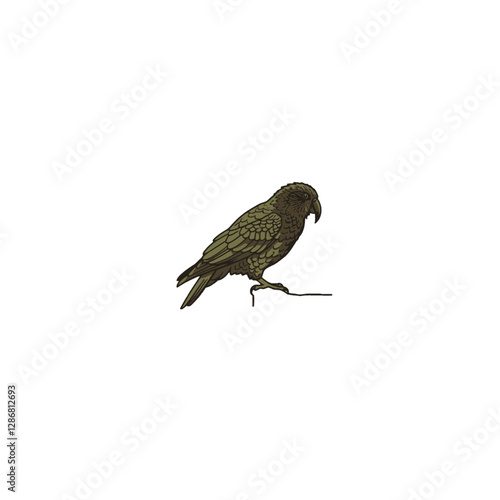 Kea Bird Vector Logo Design