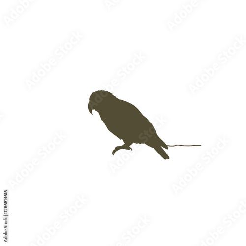 Kea Bird Vector Logo Design