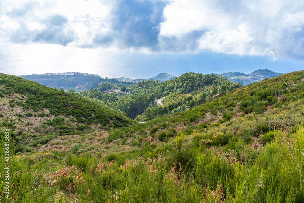 The valley and green hills with the ocean in the background – Madeira. The valley and green hills with the ocean in the background – Madeira.