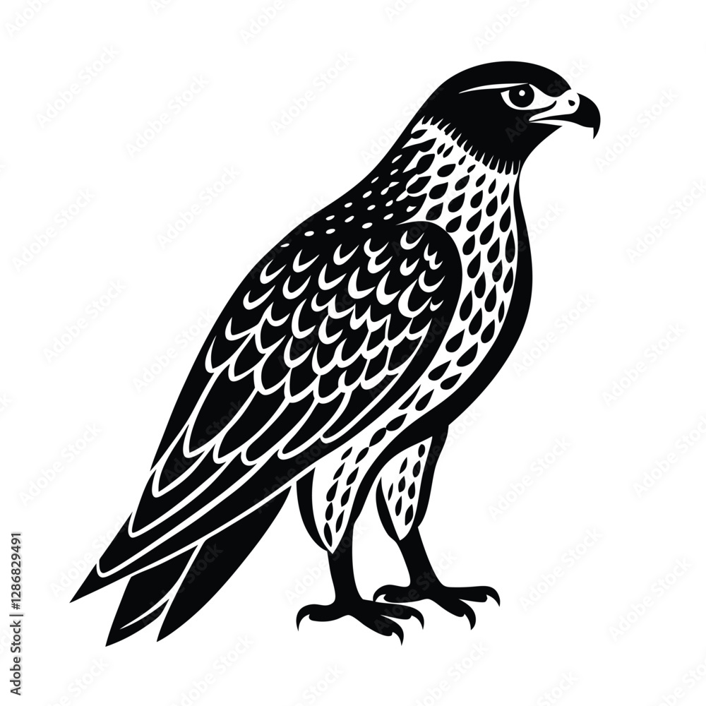 Fototapeta premium bird of prey