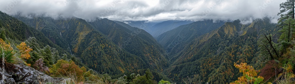 A panoramic view of a mountain range with trees and a cloudy sky A panoramic view of a mountain range with trees and a cloudy sky