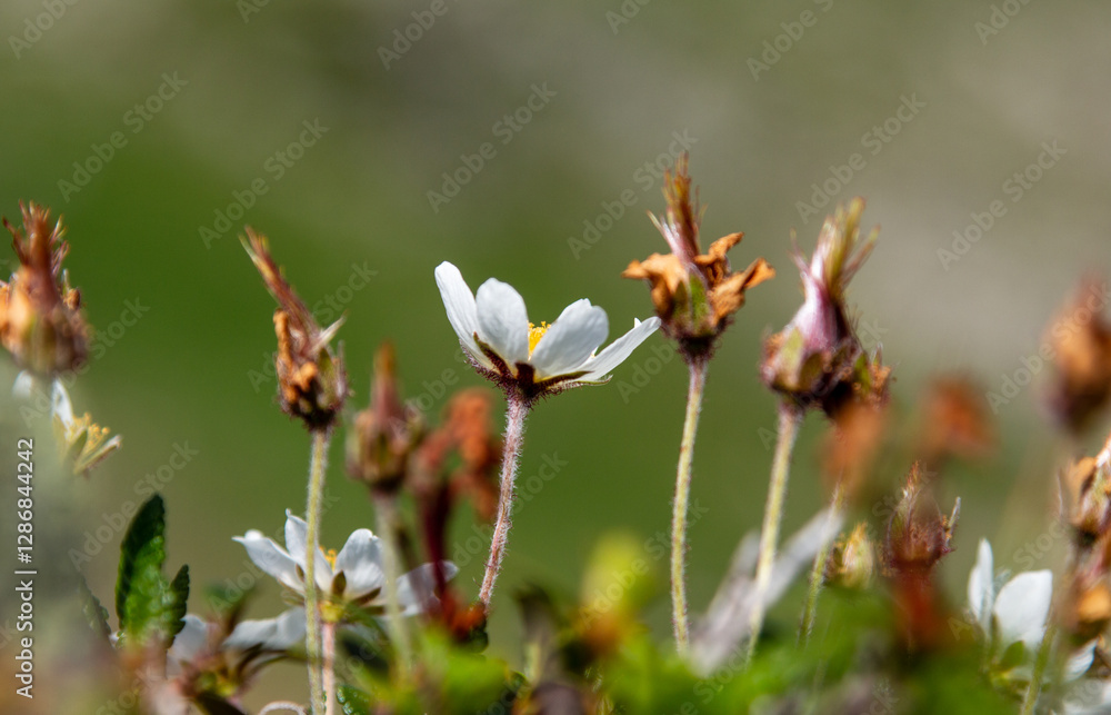 Spring is coming Spring is coming