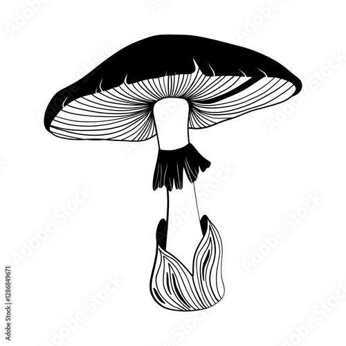 Mystical mushroom in doodle style, outline, silhouette. Whimsical, fantastic mushroom.