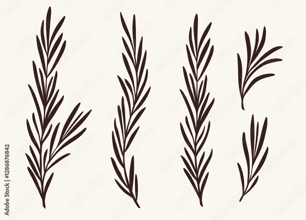 Obraz premium Rosemary branches collection, flat vector illustration