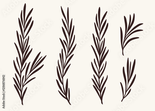 Rosemary branches collection, flat vector illustration