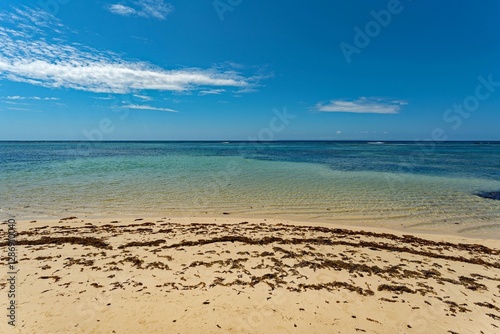 Obraz na płótnie Der Strand von Kanouanne in Saint Francois auf Guadeloupe in der Karibik w salonie