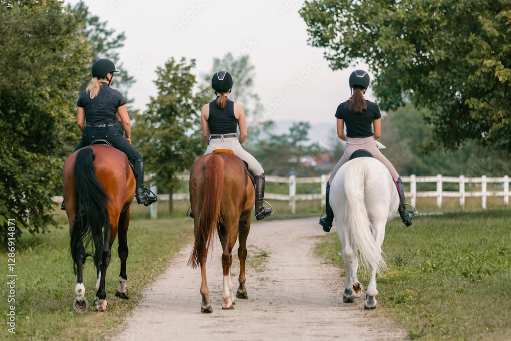 Horsewomen riding beautiful horses along the trail at the equestrian center on a bright summer day. Horse gait walks concept.