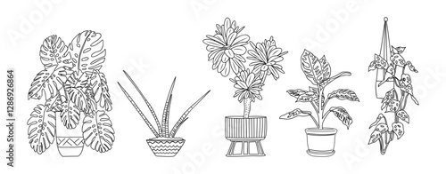 Set of Houseplants outline drawings. Indoor exotic flowers in pots line art. Monstera, aloe, hanging plant for home interior plans, design. Vector illustrations isolated