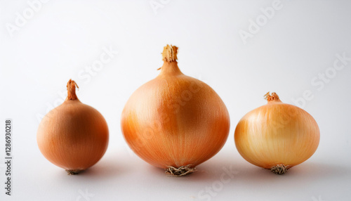 Wallpaper Mural Fresh onion. Organic and tasty vegetable. Natural farm product. Torontodigital.ca